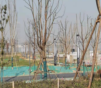 武漢漢陽江灘防水墻和道路工程