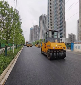 武漢光谷東湖高新開發區鳳凰一路道路工程