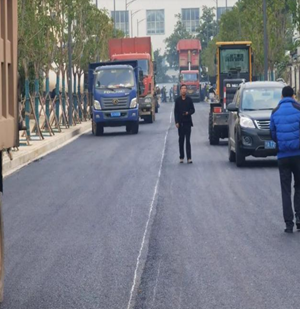 武漢陽(yáng)邏開(kāi)發(fā)區(qū)主干道路面黑化工程