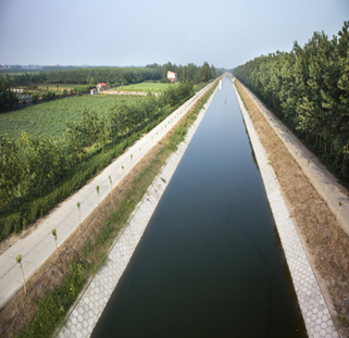 新洲區漲度湖蔬菜板塊水利基礎設施配套工程