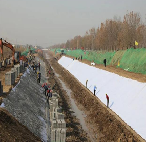 新洲農業綜合開發倒東中型灌區節水配套項目