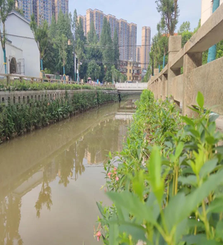 襄陽市襄城區渭水河綜合治理工程二標